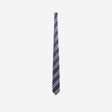 Varsity Stripe Tie Navy Combo