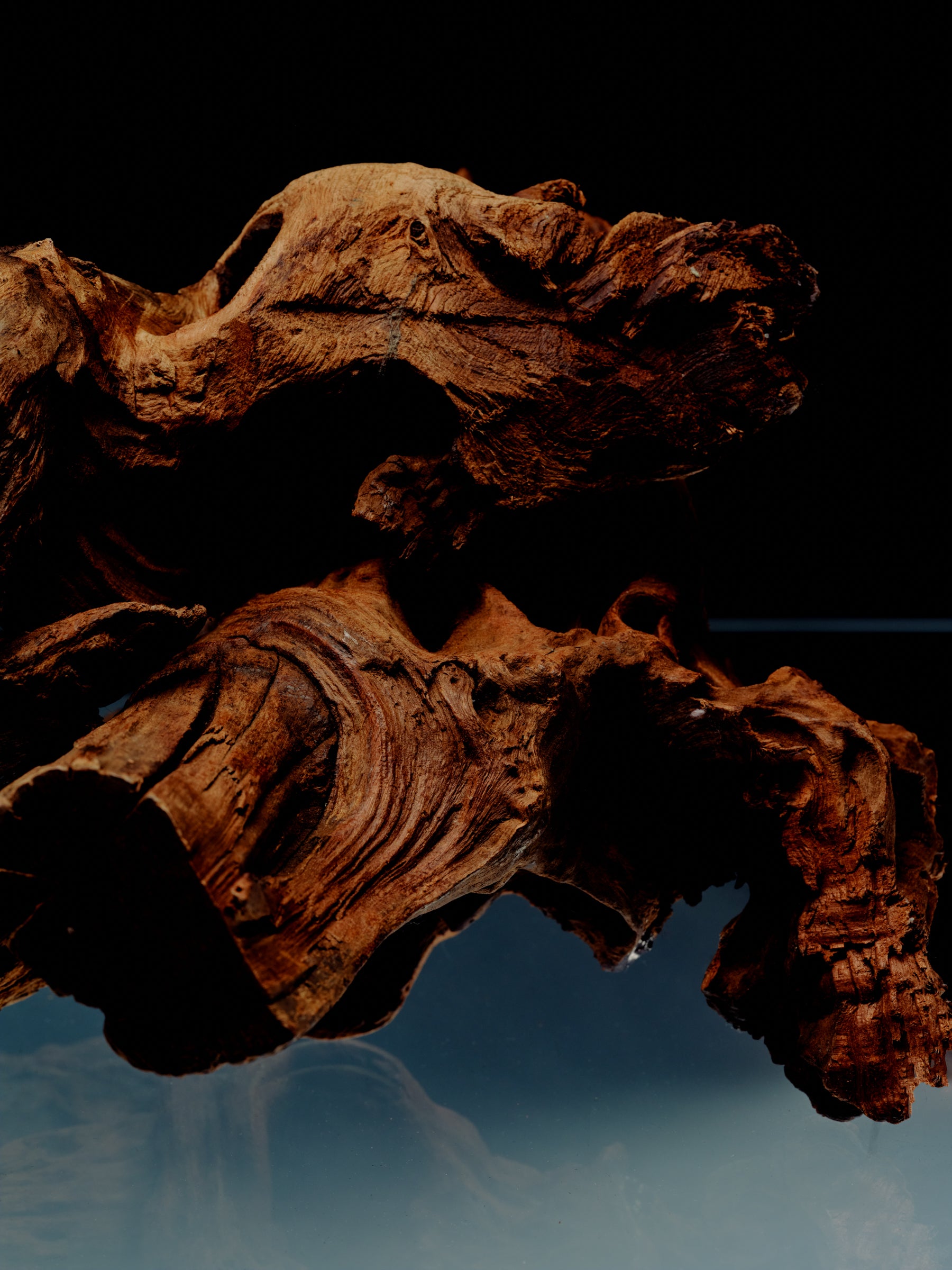 Available in 10ml & 50ml