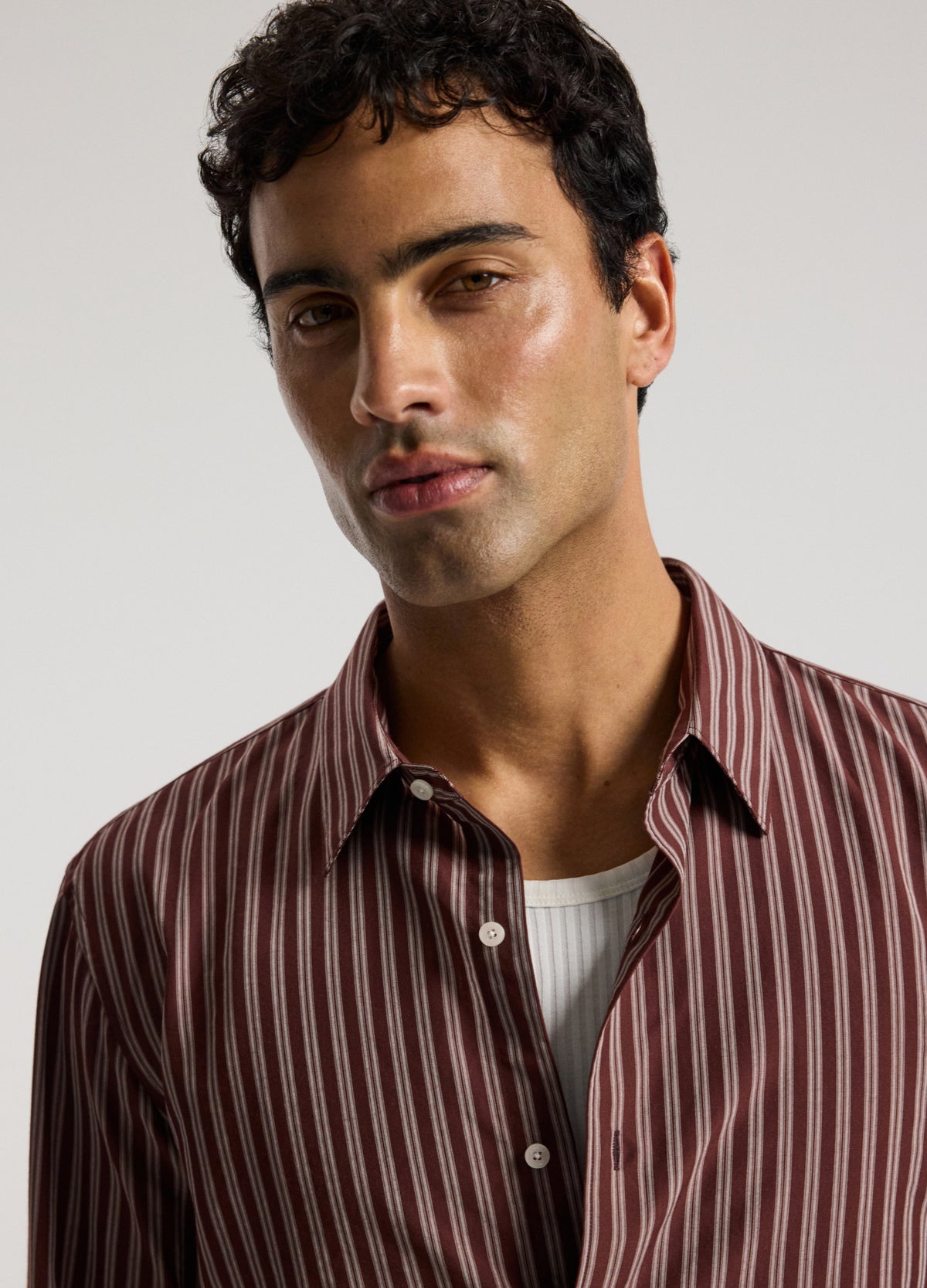 Tailored Shadow Stripe Shirt Bourbon